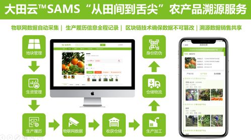 大田智慧農(nóng)業(yè)投資1.28億元數(shù)字化服務(wù)，構(gòu)筑農(nóng)產(chǎn)品安全生產(chǎn)新生態(tài)